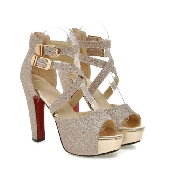 Nightclub Sandals Waterproof Platform Belt Buckle Strap Ladies High Heel Shoes
